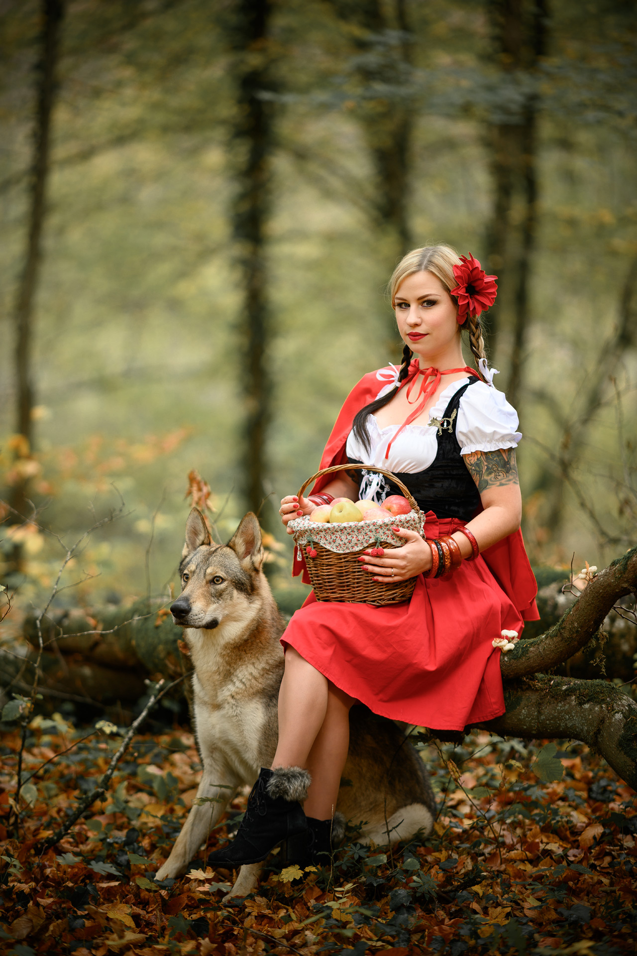 Promenons-nous dans les bois......... Le loup n'est pas loin.... NZ7_1276-RET